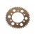 achtertandwiel RR-Spyke  40T